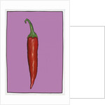 Chilli pepper purple,2004 by Sarah Thompson-Engels