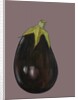 Aubergine, 2003 by Sarah Thompson-Engels
