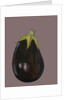 Aubergine, 2003 by Sarah Thompson-Engels