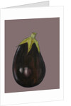 Aubergine, 2003 by Sarah Thompson-Engels