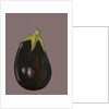 Aubergine, 2003 by Sarah Thompson-Engels