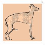 Skinny dog, 2016 by Sarah Thompson-Engels