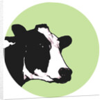 Cow, 2015 by Sarah Thompson-Engels