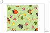 Animal and vegetable by Sarah Thompson-Engels