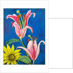 Stargazer by Sarah Thompson-Engels