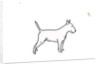 Bull terrier, 2018 by Sarah Thompson-Engels