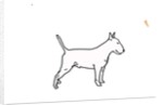 Bull terrier, 2018 by Sarah Thompson-Engels