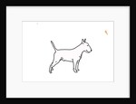 Bull terrier, 2018 by Sarah Thompson-Engels