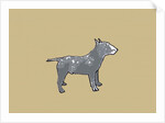 Bull terrier, 2014 by Sarah Thompson-Engels