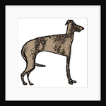 Lurcher, 2018 by Sarah Thompson-Engels
