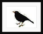 Blackbird, 2018 by Sarah Thompson-Engels