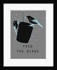 Feed the birds, 2018 by Sarah Thompson-Engels