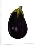 Purple aubergine by Sarah Thompson-Engels