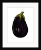 Purple aubergine by Sarah Thompson-Engels