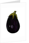 Purple aubergine by Sarah Thompson-Engels