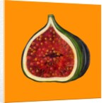 Fig on orange by Sarah Thompson-Engels