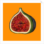 Fig on orange by Sarah Thompson-Engels