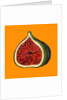 Fig on orange by Sarah Thompson-Engels