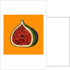 Fig on orange by Sarah Thompson-Engels