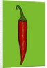 Red hot chilli pepper, 2014 by Sarah Thompson-Engels