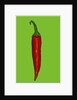 Red hot chilli pepper, 2014 by Sarah Thompson-Engels
