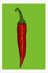 Red hot chilli pepper, 2014 by Sarah Thompson-Engels