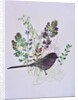 Birdy with leaves by Sarah Thompson-Engels