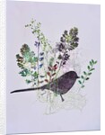 Birdy with leaves by Sarah Thompson-Engels