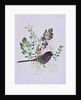 Birdy with leaves by Sarah Thompson-Engels