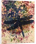 Dragonfly by Sarah Thompson-Engels