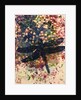 Dragonfly by Sarah Thompson-Engels