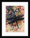 Dragonfly by Sarah Thompson-Engels