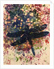 Dragonfly by Sarah Thompson-Engels