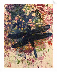 Dragonfly by Sarah Thompson-Engels