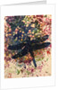 Dragonfly by Sarah Thompson-Engels