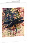 Dragonfly by Sarah Thompson-Engels