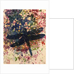 Dragonfly by Sarah Thompson-Engels