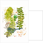 Botanical jungle, 2019 by Sarah Thompson-Engels