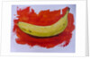 Banana, 2019 by Sarah Thompson-Engels