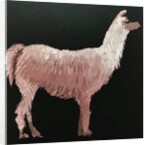 Llama, 2019 by Sarah Thompson-Engels