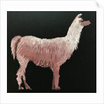 Llama, 2019 by Sarah Thompson-Engels