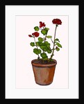 Geraniums in a flowerpot, 2019 by Sarah Thompson-Engels