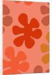 Living coral, 2019 by Sarah Thompson-Engels