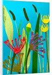 flowers and grasses, 2019 by Sarah Thompson-Engels