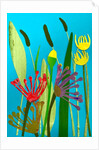 flowers and grasses, 2019 by Sarah Thompson-Engels
