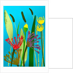 flowers and grasses, 2019 by Sarah Thompson-Engels