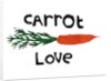 Carrot love, 2019 by Sarah Thompson-Engels