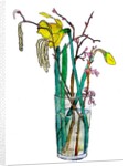 Daffodils and catkins, 2018 by Sarah Thompson-Engels