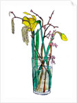 Daffodils and catkins, 2018 by Sarah Thompson-Engels