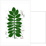 Leaf, 2019 by Sarah Thompson-Engels